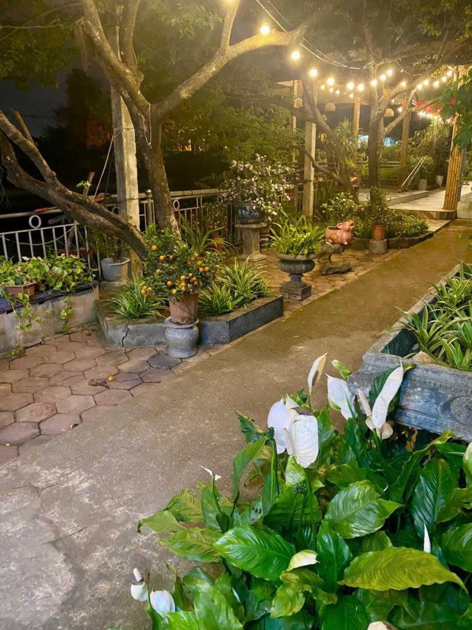 Blue Garden Homestay Ninh Binh Exterior foto